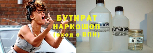 индика Алексин