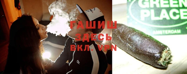 индика Алексин