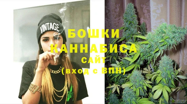индика Наволоки