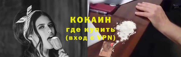 индика Алексин