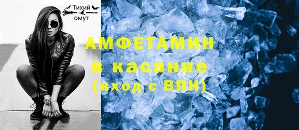 индика Алексин