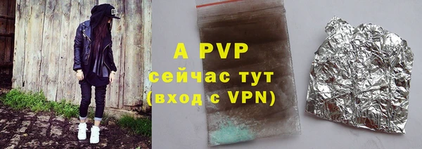 индика Алексин