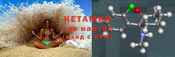 индика Алексин