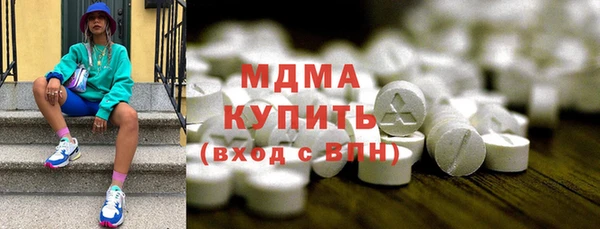 индика Алексин