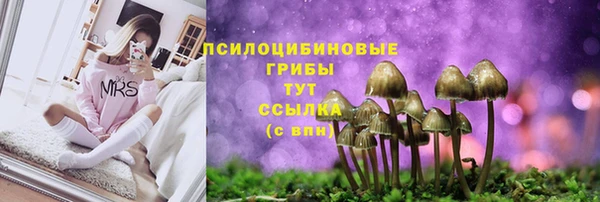 мяу мяу кристалл Алексеевка